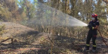 Pompierii români, în prima linie a luptei cu incendiile din Franța