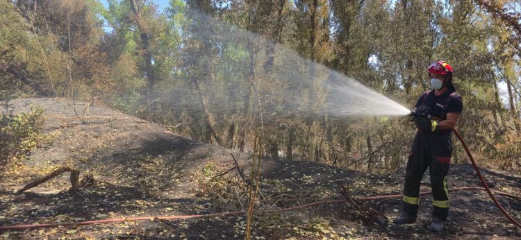 Pompierii români, în prima linie a luptei cu incendiile din Franța