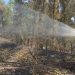 Pompierii români, în prima linie a luptei cu incendiile din Franța