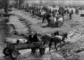 Cum arăta odinioară târgul din Maramureș. Mărturia unei localnice de 86 de ani