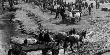 Cum arăta odinioară târgul din Maramureș. Mărturia unei localnice de 86 de ani