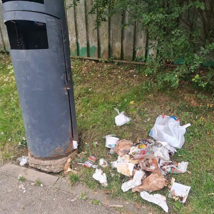 ADI Deșeuri Maramureș lansează apelul „Fii ECOdetectiv!”. Cetățenii sunt încurajați să semnaleze depozitările ilegale de deșeuri