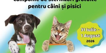 Campanie gratuită de sterilizare pentru câini și pisici în comuna Groși