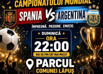 Lăpușenii, invitați să urmărească împreună finala Campionatului Mondial de Fotbal în Parcul Central