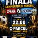 Lăpușenii, invitați să urmărească împreună finala Campionatului Mondial de Fotbal în Parcul Central