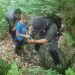 Fântâna „De la Fag” din Ciolt, un izvor cu peste un secol de istorie, poate fi vizitată la „Ceaunul Chiorean”