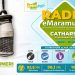 CATHARSIS – muzica care îți dă ritmul după-amiezii!
