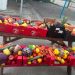 Alimente salvate de la risipă au ajuns pe mesele a 10 familii din Maramureș