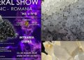 Comori din adâncul pământului revin acasă. Cavnic găzduiește unul dintre cele mai importante evenimente dedicate mineralelor din România