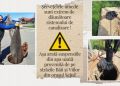 SEMNAL DE ALARMĂ! – Servețelele umede crează cele mai mari probleme la sistemul de canalizare!