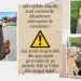 SEMNAL DE ALARMĂ! – Servețelele umede crează cele mai mari probleme la sistemul de canalizare!