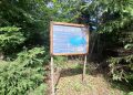 Acces mai ușor la Laguna Albastră din Poiana Botizii. Traseul turistic a fost amenajat de voluntari