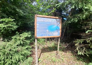Acces mai ușor la Laguna Albastră din Poiana Botizii. Traseul turistic a fost amenajat de voluntari
