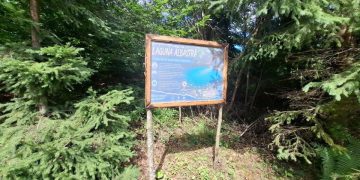 Acces mai ușor la Laguna Albastră din Poiana Botizii. Traseul turistic a fost amenajat de voluntari