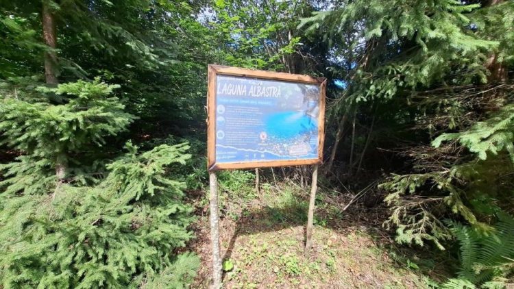 Acces mai ușor la Laguna Albastră din Poiana Botizii. Traseul turistic a fost amenajat de voluntari