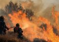 Incendii devastatoare în Creta și peninsula Peloponez, trei pompieri greci au murit. Atenţionare de călătorie emisă de MAE