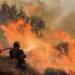 Incendii devastatoare în Creta și peninsula Peloponez, trei pompieri greci au murit. Atenţionare de călătorie emisă de MAE