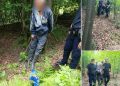 Jandarmii montani au găsit un bărbat rătăcit după un apel disperat la 112