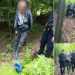Final fericit – Jandarmii montani au găsit un bărbat rătăcit în zona Vișeu de Sus