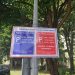 Primăria Baia Mare reduce la jumătate numărul locurilor de „parcare roșie” din parcarea instituției