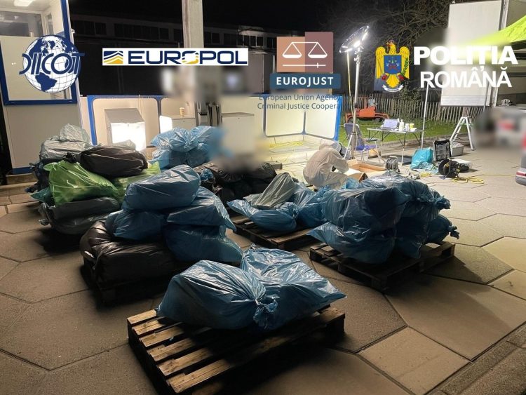 Rețea de droguri vizată de 16 percheziții, inclusiv în Maramureș. Gruparea ar fi transportat 1,7 tone de droguri în Europa – galerie foto