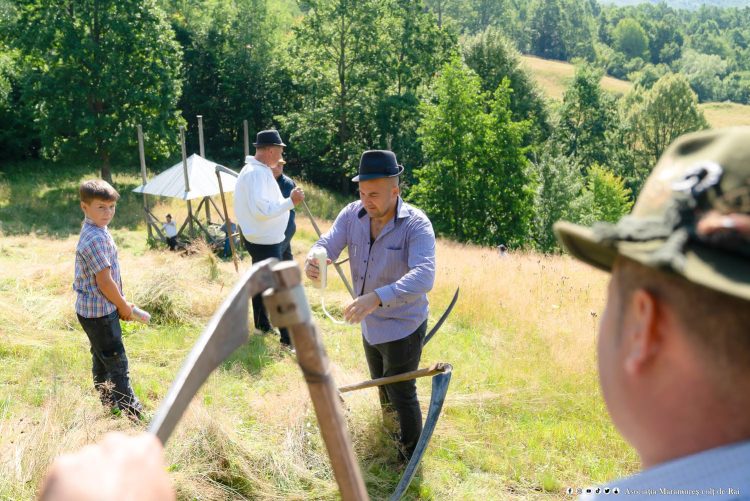 Clacă de cosit în Maramureș: tradiție, muncă și voie bună la cea de-a cincea ediție