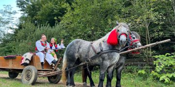 Soții Nemeș, succes spectaculos pentru folclorul maramureșean: „Ia-mă-n șauă, murgule…” a trecut de 3,5 milioane de vizualizări
