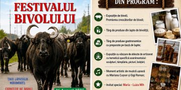 Festivalul Bivolului revine la Suciu de Jos. Ediția a III-a pune în prim-plan salvarea unui sector tradițional