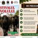 Festivalul Bivolului revine la Suciu de Jos. Ediția a III-a pune în prim-plan salvarea unui sector tradițional