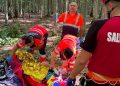 Bărbat surprins de prăbușirea unui copac, în Săpânța – A fost transportat de urgență la spital cu elicopterul