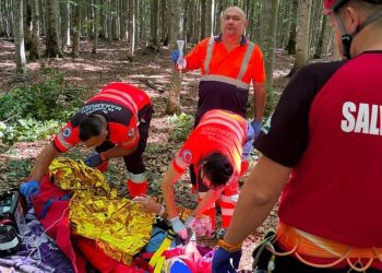 Bărbat surprins de prăbușirea unui copac, în Săpânța – A fost transportat de urgență la spital cu elicopterul