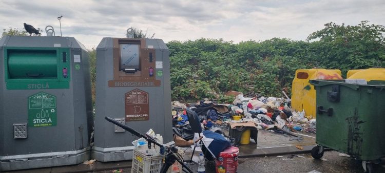 IMAGINEA ZILEI în Baia Mare: Insulele ecologice, sufocate de munți de gunoaie