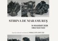 Mineral Expo Cavnic 2026: „Stibina de Maramureș”, vedeta florilor de mină