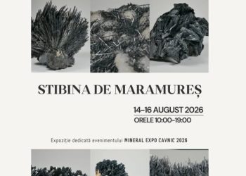 Mineral Expo Cavnic 2026: „Stibina de Maramureș”, vedeta florilor de mină