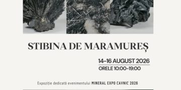 Mineral Expo Cavnic 2026: „Stibina de Maramureș”, vedeta florilor de mină