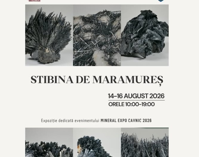 Mineral Expo Cavnic 2026: „Stibina de Maramureș”, vedeta florilor de mină