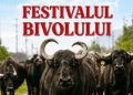 Festivalul Bivolului a adunat astăzi Maramureșul la Suciu de Sus! Tradiții, produse locale și „Cântecul Bivolului”