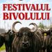 Festivalul Bivolului a adunat astăzi Maramureșul la Suciu de Sus! Tradiții, produse locale și „Cântecul Bivolului”