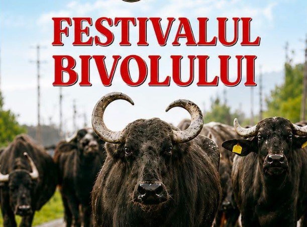 Festivalul Bivolului a adunat astăzi Maramureșul la Suciu de Sus! Tradiții, produse locale și „Cântecul Bivolului”