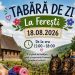 Tabără de zi pentru copii, la Ferești – O zi de joacă, tradiție și aventură în mijlocul naturii