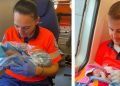 O intervenție, o viață nouă: o fetiță s-a născut acasă, cu ajutorul echipajului medical din Poienile de Sub Munte