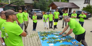 Voluntari pentru Parcul Național Munții Rodnei