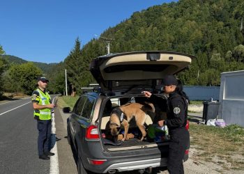 „Blocada” în Maramureș – 320 de persoane legitimate, peste 260 de mașini verificate și amenzi de peste 9.000 de lei
