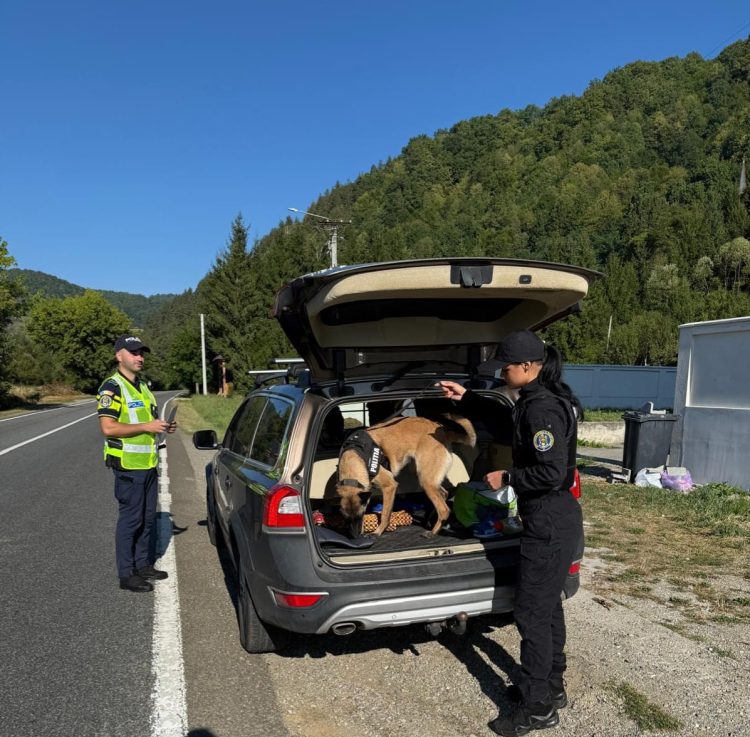 „Blocada” în Maramureș – 320 de persoane legitimate, peste 260 de mașini verificate și amenzi de peste 9.000 de lei