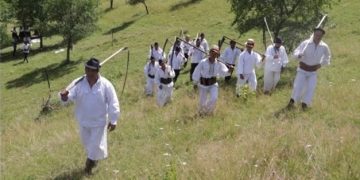 Clacă de coasă pe Valea Izei, ediția a V-a. O zi dedicată tradițiilor și spiritului comunității