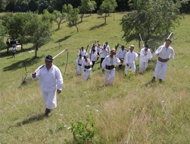 Clacă de coasă pe Valea Izei, ediția a V-a. O zi dedicată tradițiilor și spiritului comunității