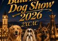 Baia Mare va găzdui o nouă ediție a Dog Show 2026. Înscrierile sunt deschise