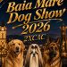 Baia Mare va găzdui o nouă ediție a Dog Show 2026. Înscrierile sunt deschise