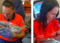 O intervenție, o viață nouă: o fetiță s-a născut acasă, cu ajutorul echipajului medical din Poienile de Sub Munte