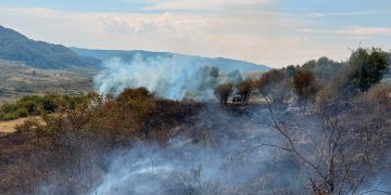 Incendiu de vegetație uscată la Fântânele. Pompierii voluntari au intervenit rapid